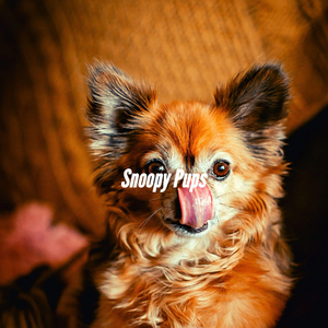 Brilliant Ambiance for Doggy Resting