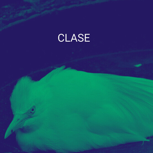 Clase