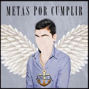 Metas Por Cumplir