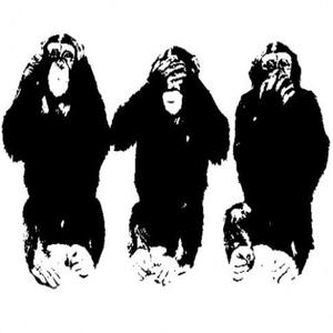 WILD APES