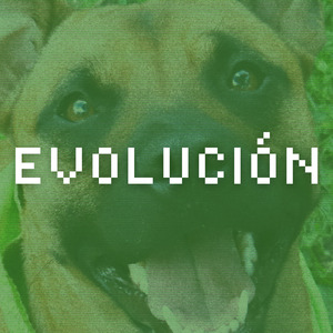 Evolución (Remix)