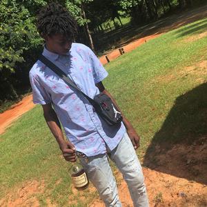 Plottin