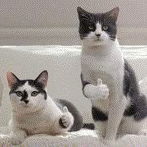 Slow Dancing In The Dark (Sped Up)