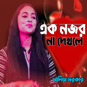 এক নজর না দেখলে