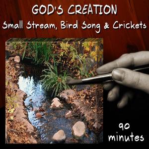Small Stream, Bird Song and Crickets (90 Minutes)
