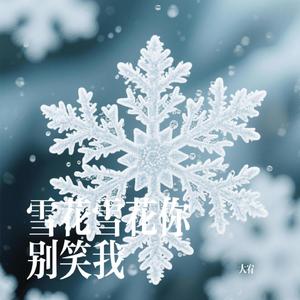 雪花雪花你别笑我