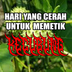 HARI YANG CERAH UNTUK MEMETIK KECUBUNG