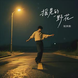 摇晃的野花