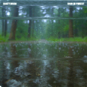 Rain in Forest