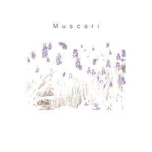 Muscari