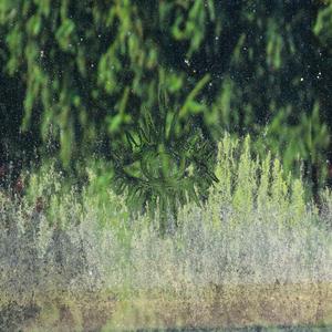 widzimy się kiedyś