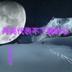 月亮代表不了我的心 (伴奏)