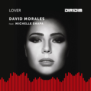 Lover (Red Zone Instrumental Mix)