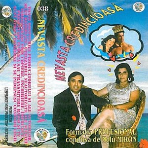 Multe Stele Pe Cer Sunt