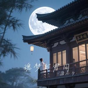 魂梦与君同