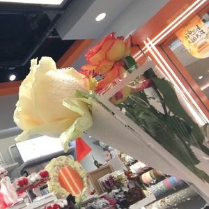 旅行的意义(Point)