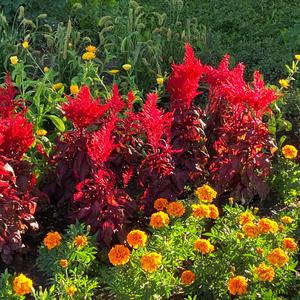 Never Write Lyrics That Are Way Too Clever Backing Track 2