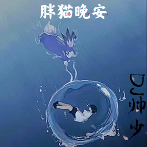 胖猫晚安