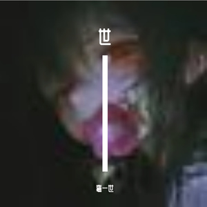 夏日树荫下的蝉鸣微风