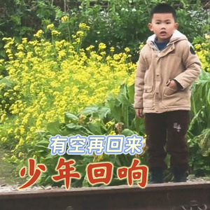 少年回响
