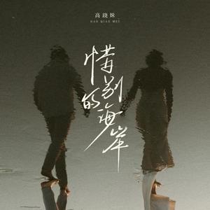 惜别的海岸 (烟嗓版)