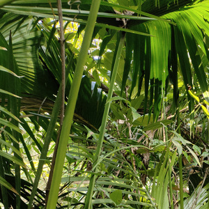 你发财你必须发财