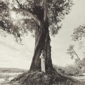 grandmother tree (feat. Mewhy)
