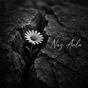 Anla
