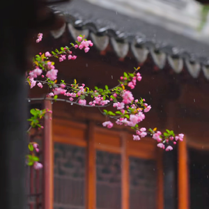 与世无争