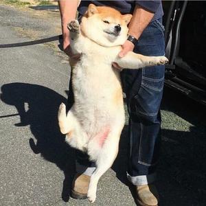我觉得应该这样