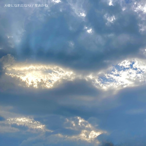 天使になれたなら