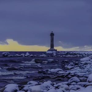 断翅鸟（Prod.by Morrow）