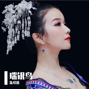 瑞银鸟