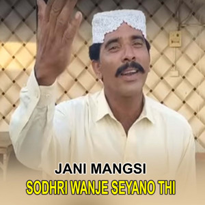 Sodhri Wanje Seyano Thi