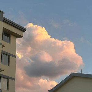 形式爱（Prod.by Rick1y)