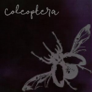 coleoptera (i give)