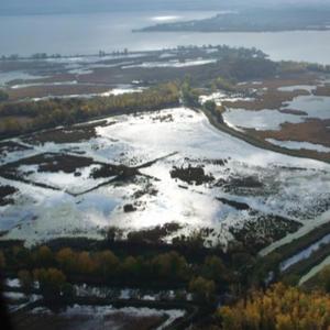 The Great Black Swamp