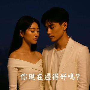 你現在過得好嗎? (feat. 寒夜)