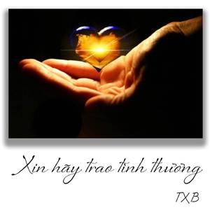 Xin Hãy Trao Tình Thương