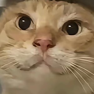 神人叮咚鸡