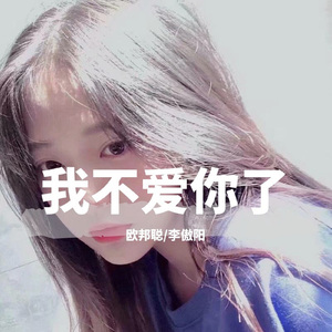 我不爱你了