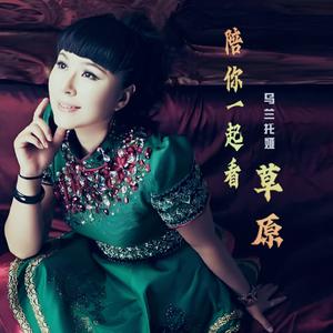 陪你一起看草原