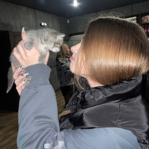 bu son olsun - speed up