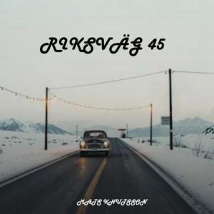 Riksväg 45