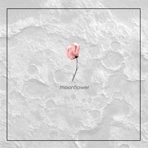 Moonflower (feat. NeM5 & Naro)