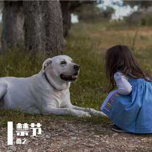 万物情书（翻自 九三）
