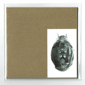 シンクロサイクロトロン・スピリチュアライザー。