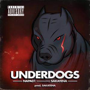 UNDERDOGS (feat. SAKATENA)
