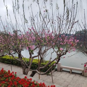 20240225_223209_223716_track0_223716