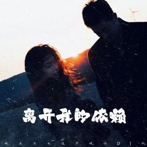 离开我的依赖 (我来不及道声晚安DJ版)